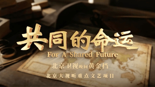 共同的命运（2025年电视剧）