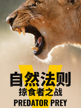 自然法則：掠食者之戰