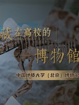 藏在高校的博物馆