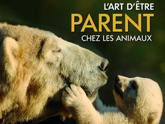 大自然中的父母之爱