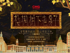 梧桐树下老房子