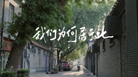 我们为何居于此（2025年电视剧）