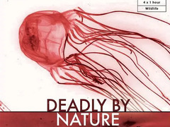 大自然的致命猎手