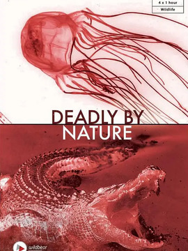 大自然的致命猎手