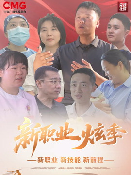 新职业炫季