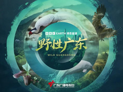 野性广东