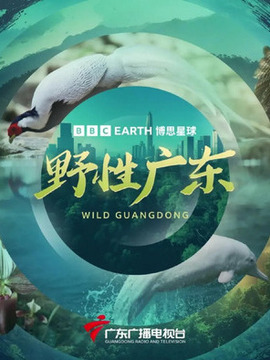 野性广东