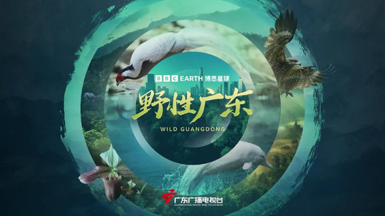野性广东（2025年电视剧）