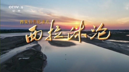 西拉沐沦（2025年电视剧）