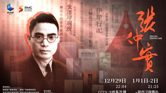 张仲实（2025年电视剧）