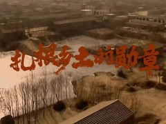 扎根乡土的勋章