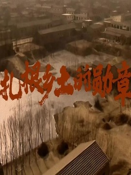 扎根乡土的勋章