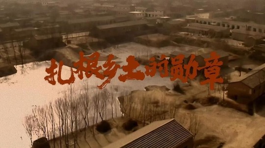扎根乡土的勋章（2026年电视剧）