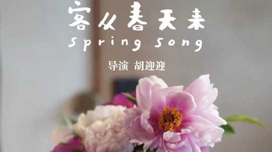 客从春天来（2025年电视剧）