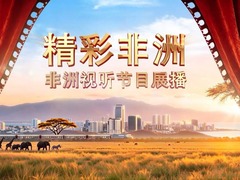 精彩非洲