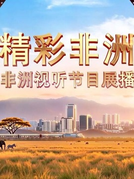 精彩非洲