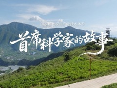 首席科学家的故事