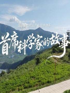 首席科学家的故事
