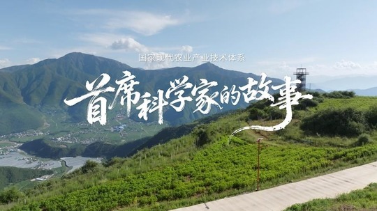 首席科学家的故事（2026年电视剧）