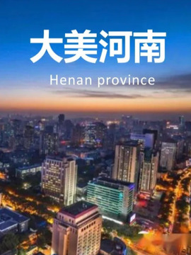大美河南