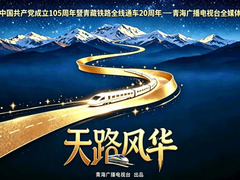 天路风华