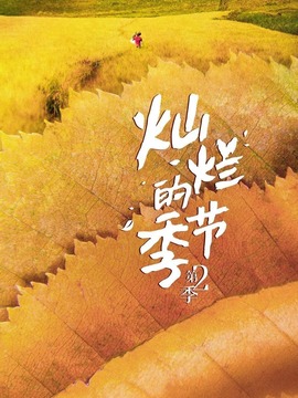 灿烂的季节