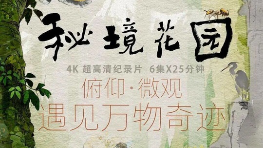 秘境花园（2026年电视剧）