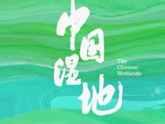 中国湿地