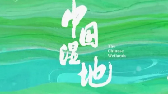 中国湿地（2022年电视剧）