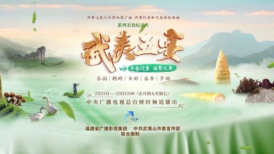 武夷五宴（2025年电视剧）