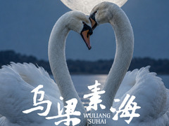 乌梁素海