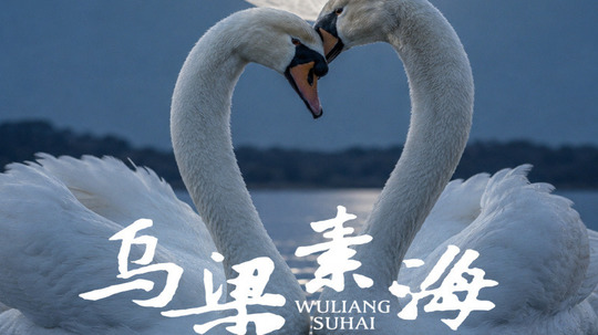 乌梁素海（2026年电视剧）