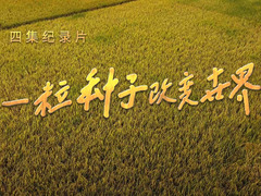 一粒种子改变世界