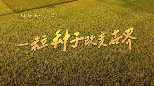 一粒种子改变世界（2025年电视剧）