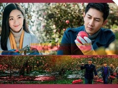 大农商 赵丽霞