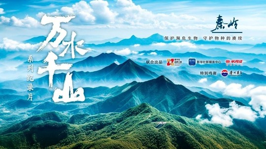 万水千山（2026年电视剧）