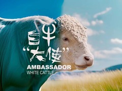 白牛大使