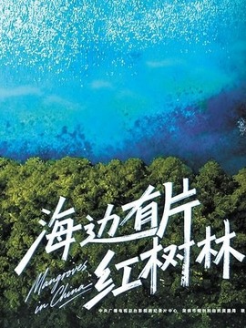 海边有片红树林