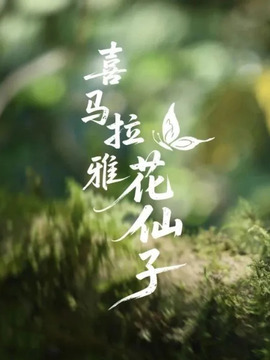 喜马拉雅花仙子