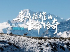 喜马拉雅的生命传奇