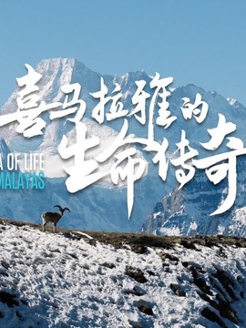 喜马拉雅的生命传奇