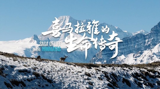 喜马拉雅的生命传奇（2026年电视剧）