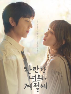 在你灿烂的季节