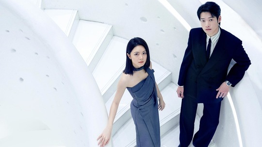 无可替代（2026年电视剧）