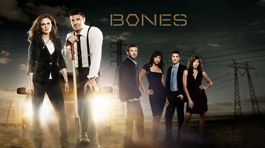 识骨寻踪第三季（2007年电视剧）