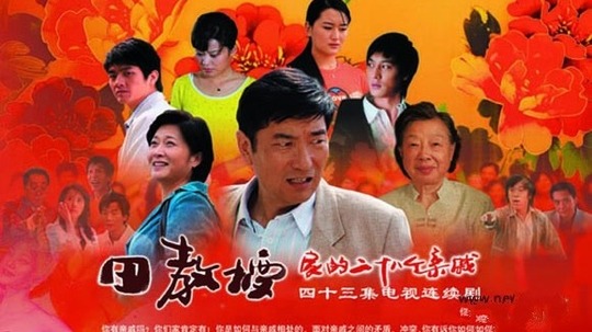 田教授家的二十八个亲戚（2009年电视剧）