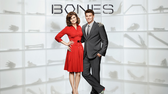 识骨寻踪第六季（2010年电视剧）