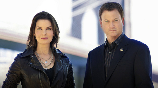 犯罪现场调查：纽约（2004年电视剧）