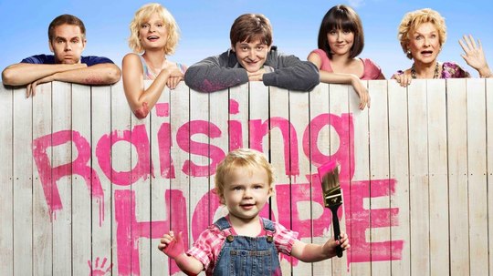 家有喜旺（2010年电视剧）