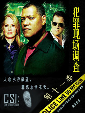 CSI: Crime Scene Investigation Season 11